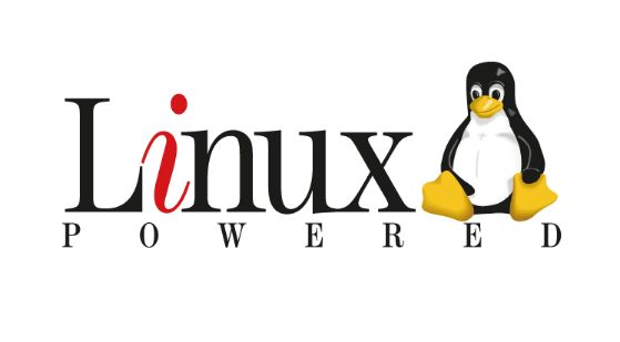 linux系统安装教程