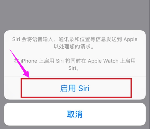 苹果手机如何开启siri