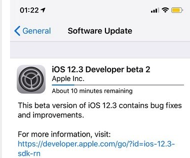 苹果iOS 12.3开发者预览版Beta 2怎么样
