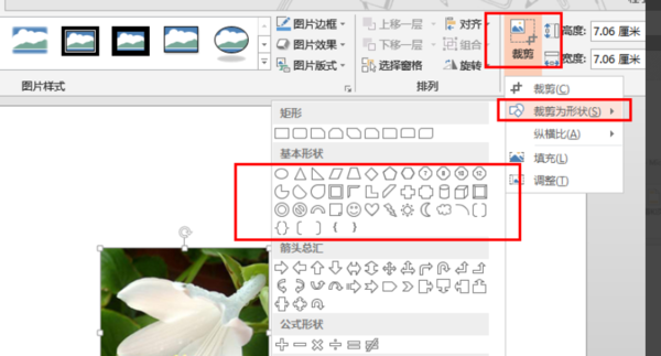 WPS演示怎么裁剪幻灯片内的图片