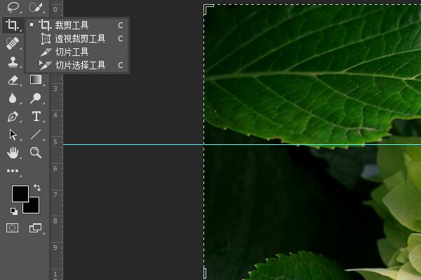 PS软件如何用参考线裁剪图片