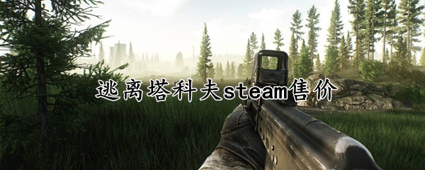 逃离塔科夫steam售价