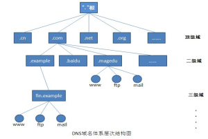 dns网络服务器解决教程