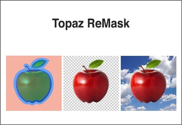 Topaz Remask 中文版 v5.0.1