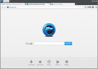 冰龙浏览器(IceDragon) v62.0.2.18中文版