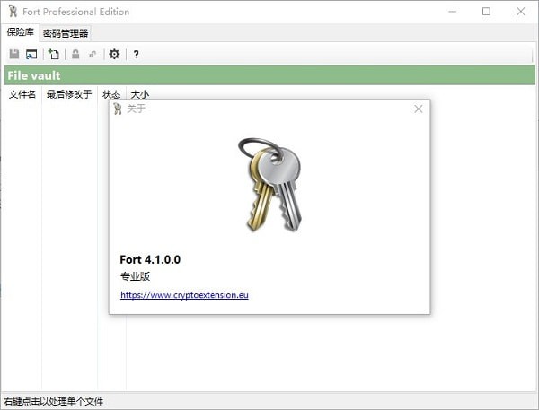 Fort Professional Edition(文件加密器) v4.1.0.0