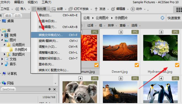 ACDSee19中文版 v1.0