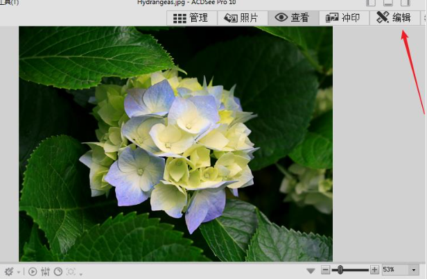 ACDSee19中文版 v1.0